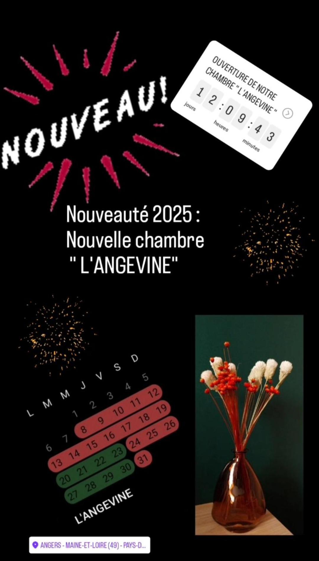 "Chez Lyly Et Juju" Piscine&Sauna Calme 3Chambres 昂热 客房 照片