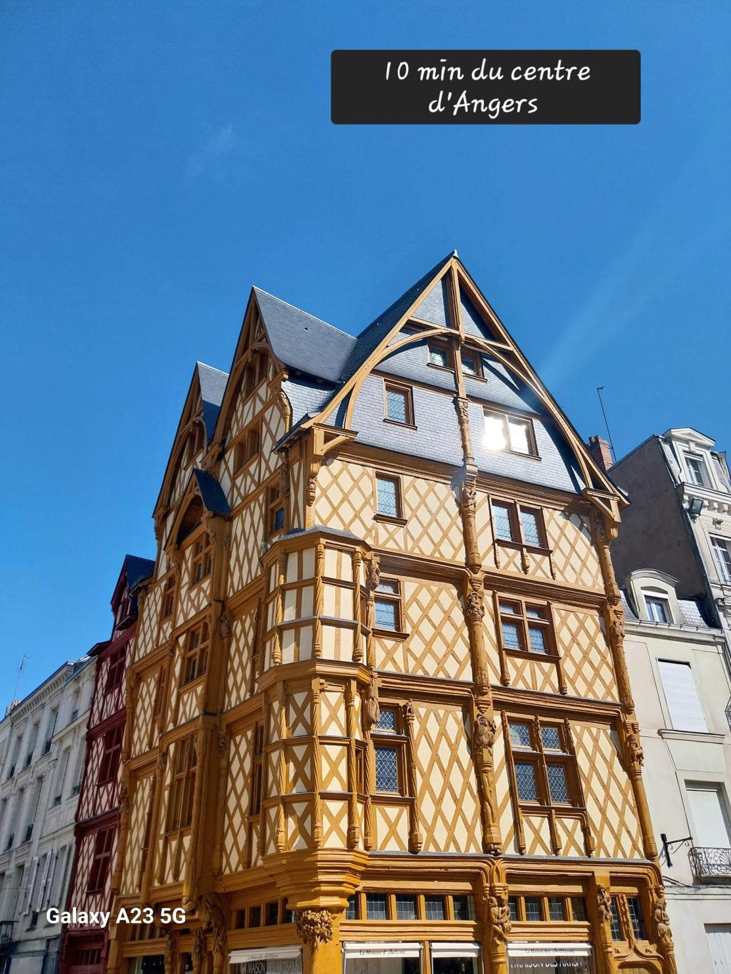 "Chez Lyly Et Juju" Piscine&Sauna Calme 3Chambres 昂热 外观 照片